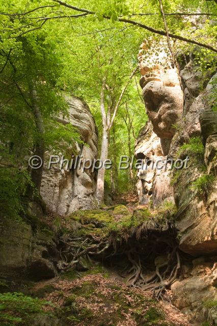 luxembourg 25.JPG - Perekop (rocher ruiniforme en grès)EchternachPetite Suisse luxembourgeoiseGrand Duché de Luxembourg